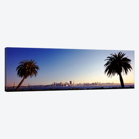 Palm Trees At Dusk, San Francisco, California, USA Canvas Print #PIM3550} by Panoramic Images Canvas Wall Art
