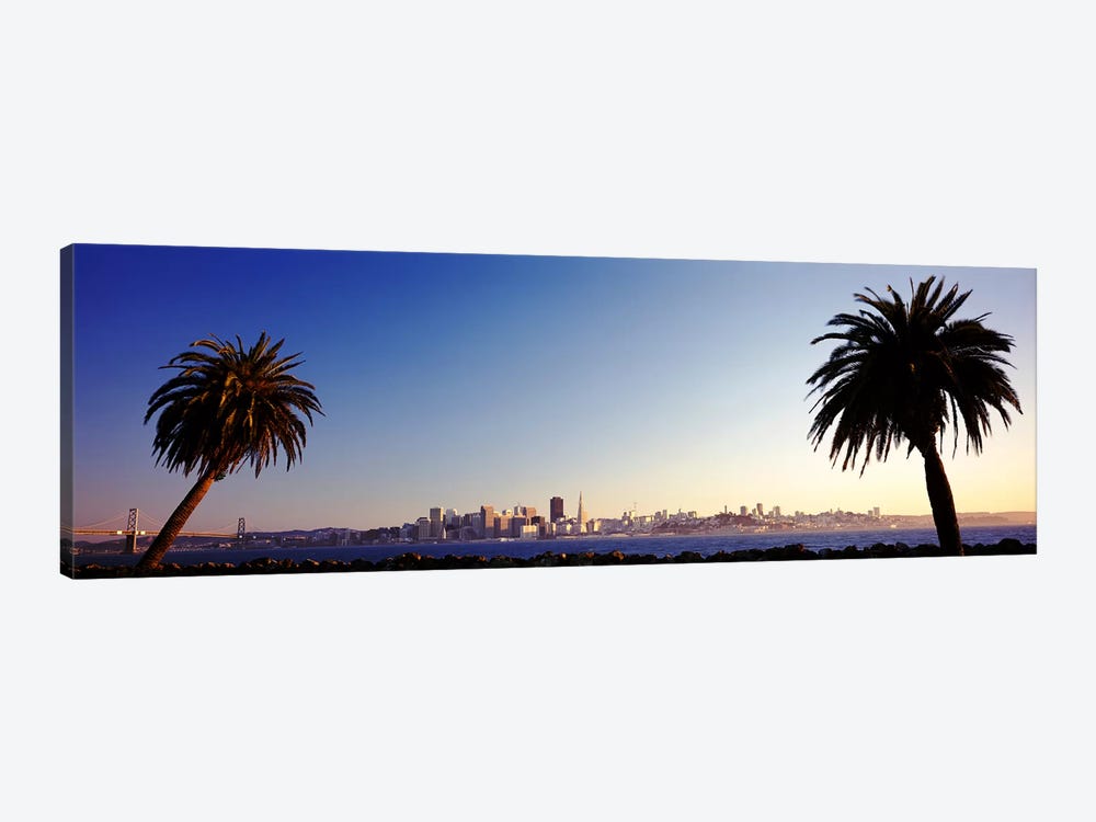 Palm Trees At Dusk, San Francisco, California, USA by Panoramic Images 1-piece Canvas Print