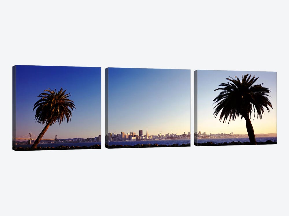Palm Trees At Dusk, San Francisco, California, USA by Panoramic Images 3-piece Canvas Print