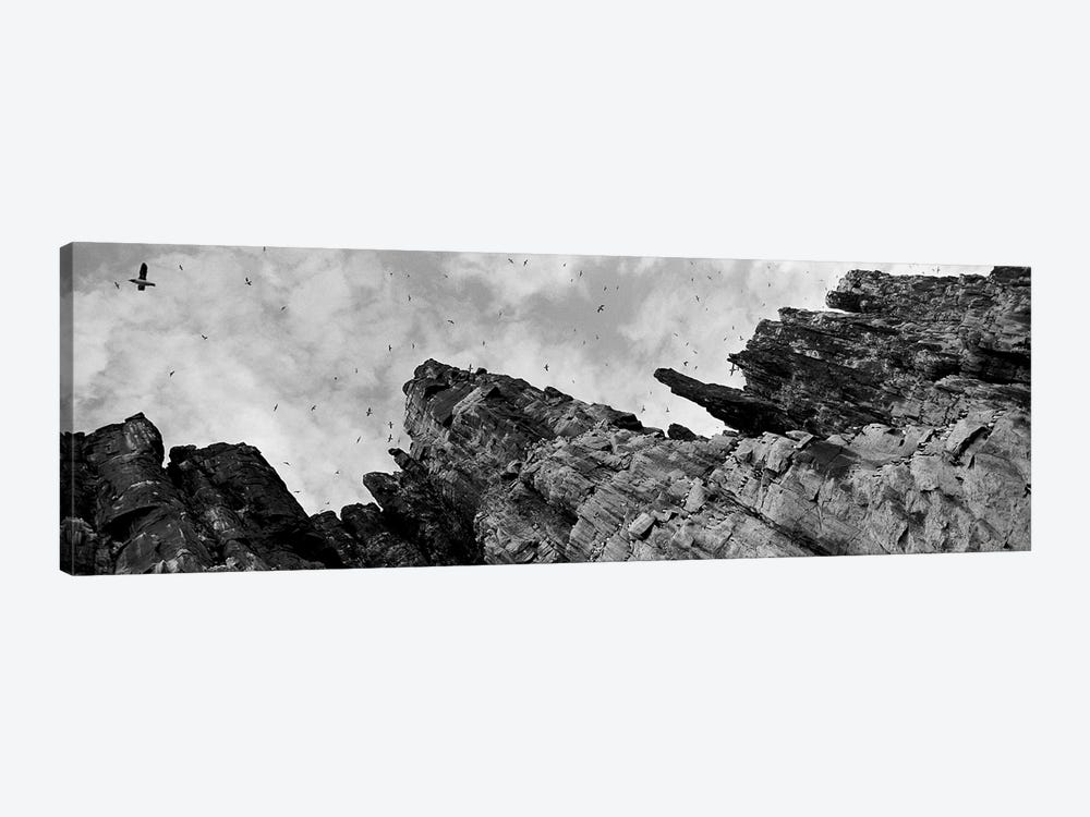 Birds Nesting In Cliffs, Norway by Panoramic Images 1-piece Canvas Artwork