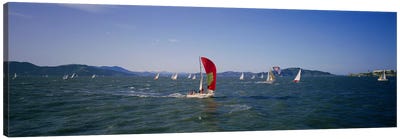 Sailboats in the water, San Francisco Bay, California, USA Canvas Art Print - Nautical Art