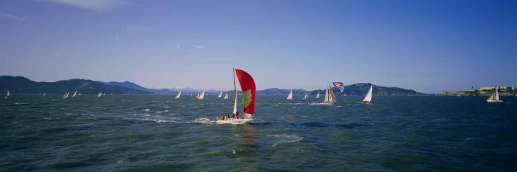 Sailboats in the water, San Francisco Bay, California, USA