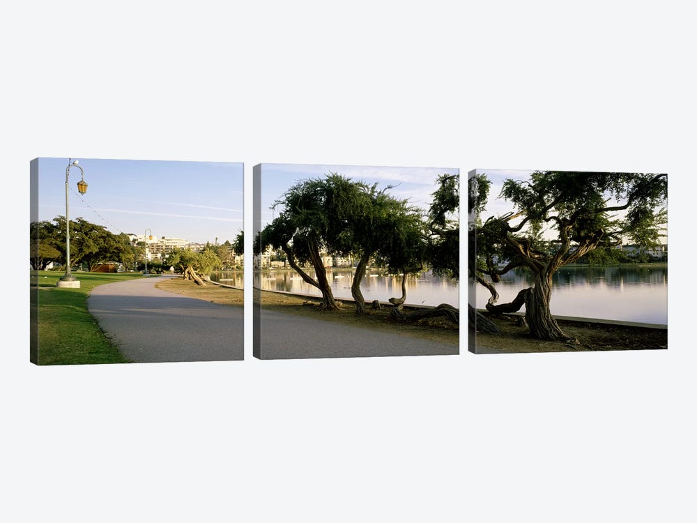 USA, California, Oakland, Path by Panoramic Images 3-piece Canvas Print