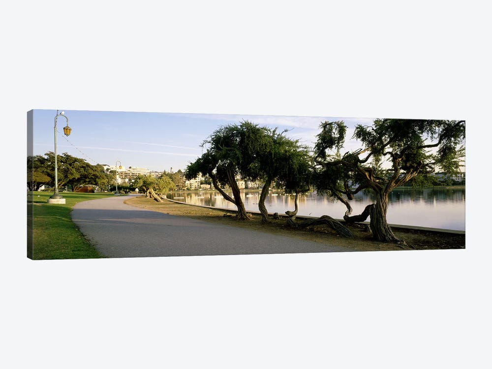 USA, California, Oakland, Path by Panoramic Images 1-piece Canvas Art Print