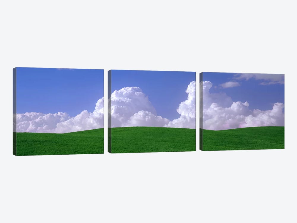 Clouds Over A Green Pasture, Palouse, Washington, USA by Panoramic Images 3-piece Art Print