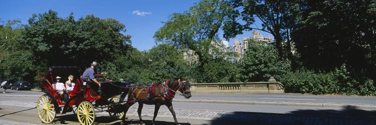 Tourists Traveling In A Horse Cart NYC, New York City, New York State, USA