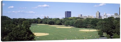 High angle view of the Great Lawn Central Park, Manhattan, New York City, New York State, USA Canvas Art Print - Central Park
