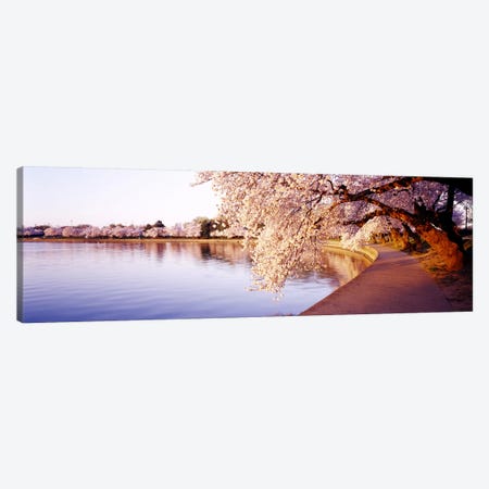 Tidal Basin, Washington DC, District Of Columbia, USA Canvas Print #PIM3681} by Panoramic Images Canvas Wall Art