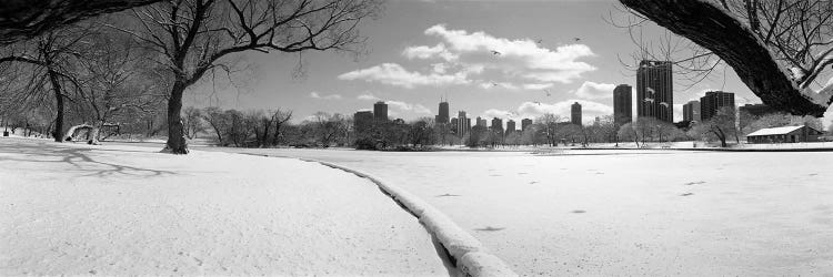 Buildings in a city, Lincoln Park, Chicago, Illinois, USA by Panoramic Images wall art