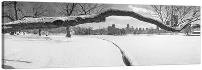 Bare trees in a park, Lincoln Park, Chicago, Illinois, USA Canvas Art Print - City Park Art