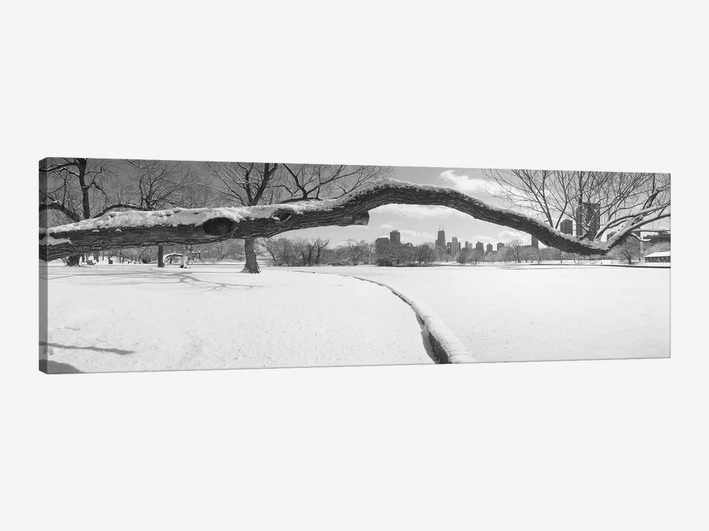 Bare trees in a park, Lincoln Park, Chicago, Illinois, USA by Panoramic Images 1-piece Canvas Artwork