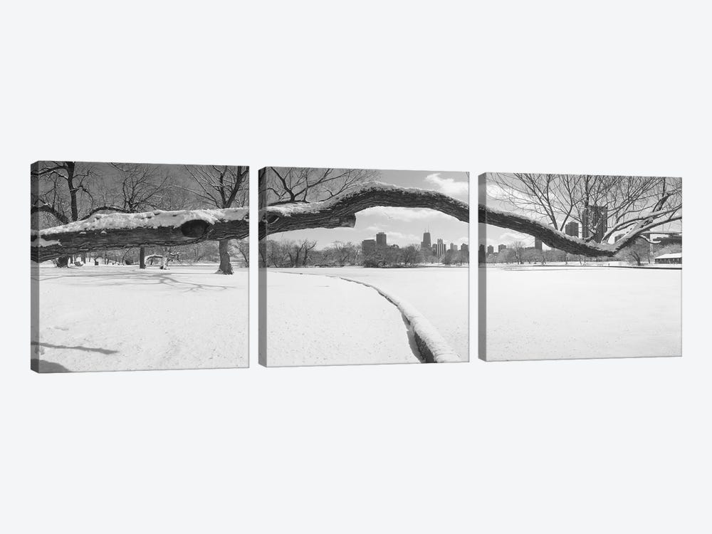 Bare trees in a park, Lincoln Park, Chicago, Illinois, USA by Panoramic Images 3-piece Canvas Artwork