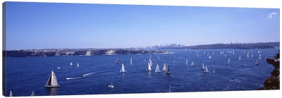 Yachts in the bay, Sydney Harbor, Sydney, New South Wales, Australia Canvas Art Print - 3-Piece Panoramic Art