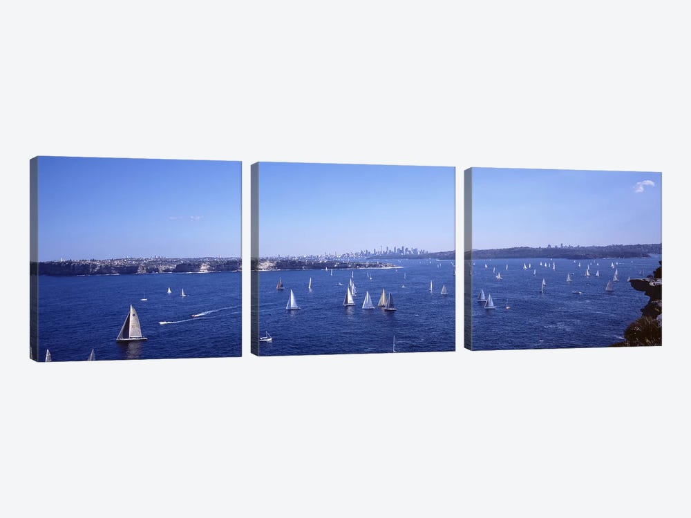 Yachts in the bay, Sydney Harbor, Sydney, New South Wales, Australia by Panoramic Images 3-piece Canvas Art