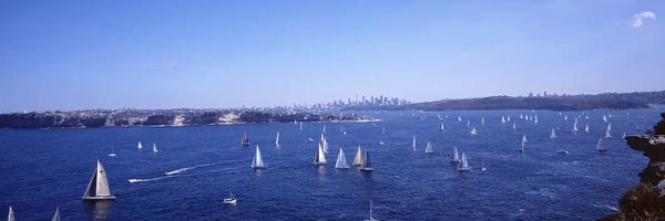 Australia: Yachts in the bay, Sydney Harbor, Sydney, New South Wales, Australia by Panoramic Images