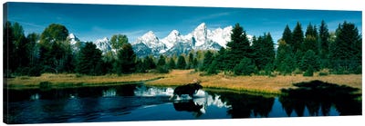 Moose & Beaver Pond Grand Teton National Park WY USA Canvas Art Print - Panoramic Photography