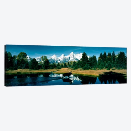 Moose & Beaver Pond Grand Teton National Park WY USA Canvas Print #PIM376} by Panoramic Images Art Print