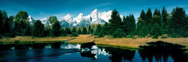 Panoramic Images: Moose & Beaver Pond Grand Teton National Park WY USA by Panoramic Images