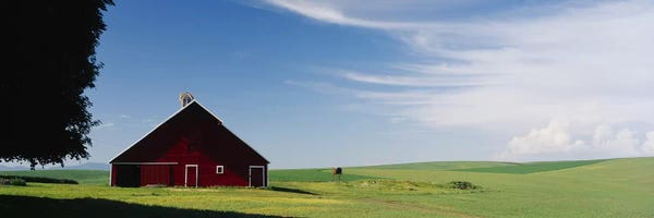 Barns: Barn in a wheat fieldWashington State, USA by Panoramic Images