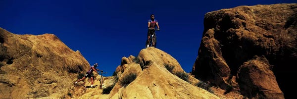 Rocky Mountain National Park: Mountain Bikers CA USA by Panoramic Images