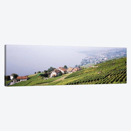Hillside Sloping Vineyards, Lausanne, Vaud, Switzerland Canvas Print #PIM3797} by Panoramic Images Art Print