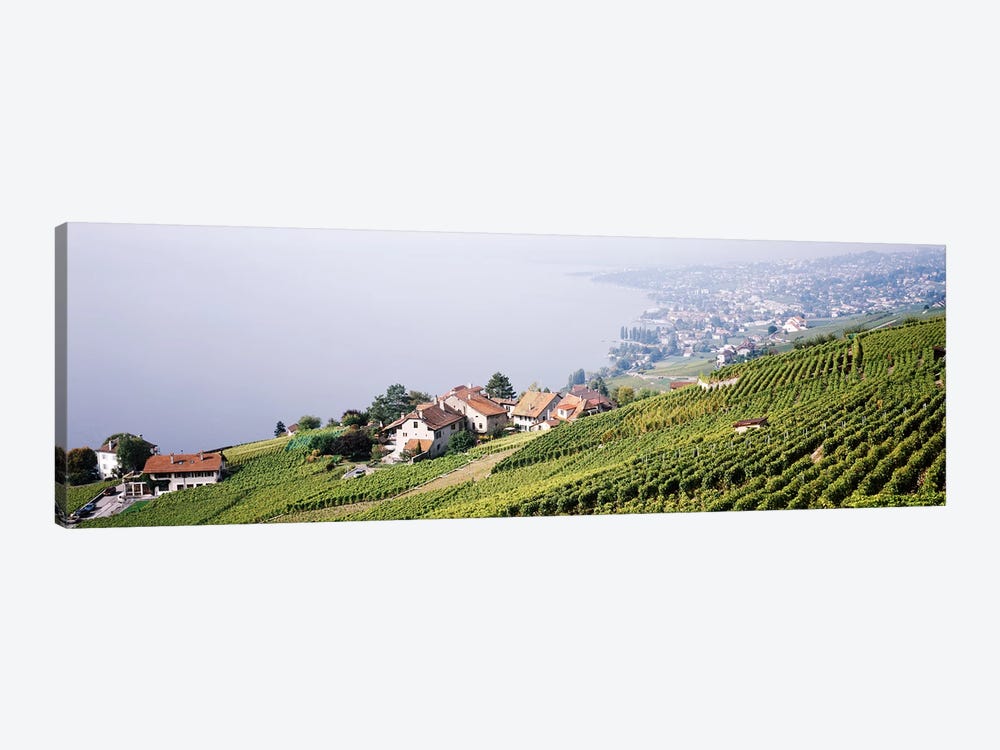 Hillside Sloping Vineyards, Lausanne, Vaud, Switzerland by Panoramic Images 1-piece Canvas Print