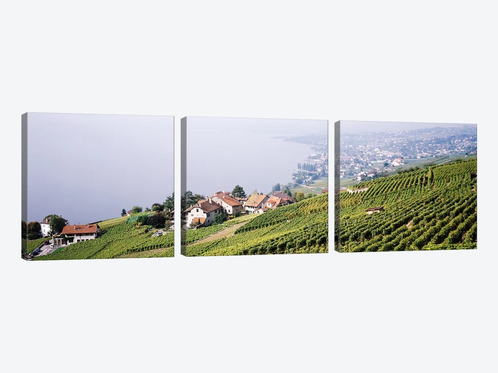 Hillside Sloping Vineyards, Lausanne, Vaud, Switzerland by Panoramic Images 3-piece Canvas Art Print
