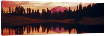 Reflection of trees in water, Tipsoo Lake, Mt Rainier, Mt Rainier National Park, Washington State, USA Canvas Art Print - Lake Art