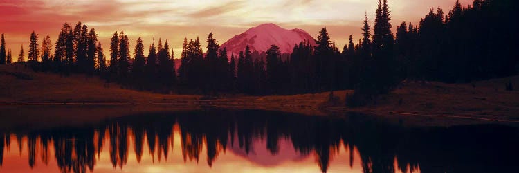 Reflection of trees in water, Tipsoo Lake, Mt Rainier, Mt Rainier National Park, Washington State, USA