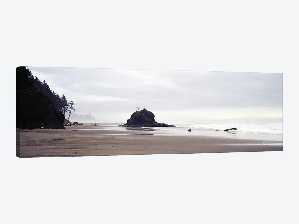 Coast La Push Olympic National Park WA by Panoramic Images 1-piece Canvas Wall Art