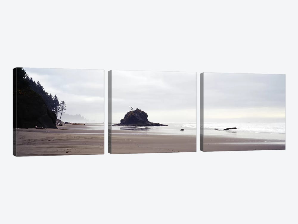 Coast La Push Olympic National Park WA by Panoramic Images 3-piece Canvas Wall Art