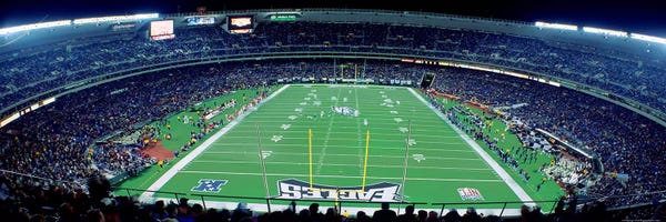 Pennsylvania: Philadelphia Eagles NFL Football Veterans Stadium Philadelphia PA by Panoramic Images
