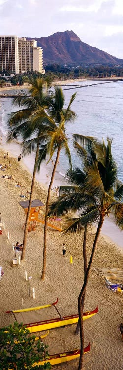 High angle view of tourists on the beach, Waikiki Beach, Honolulu, Oahu, Hawaii, USA