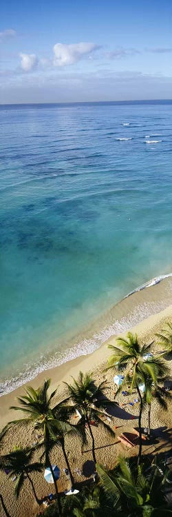 High angle view of palm trees with beach umbrellas on the beach, Waikiki Beach, Honolulu, Oahu, Hawaii, USA