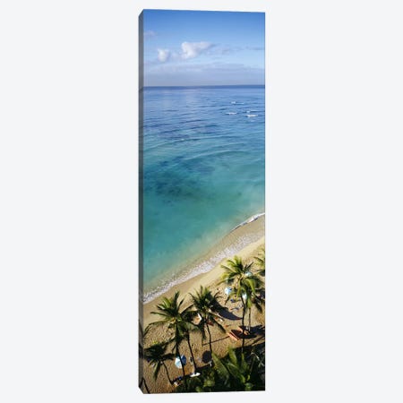 High angle view of palm trees with beach umbrellas on the beach, Waikiki Beach, Honolulu, Oahu, Hawaii, USA Canvas Print #PIM3858} by Panoramic Images Art Print