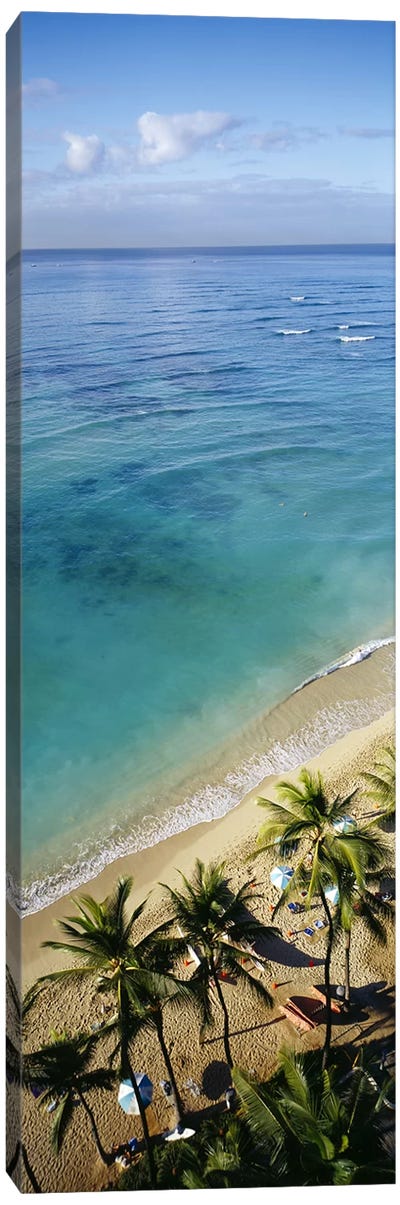 High angle view of palm trees with beach umbrellas on the beach, Waikiki Beach, Honolulu, Oahu, Hawaii, USA Canvas Art Print