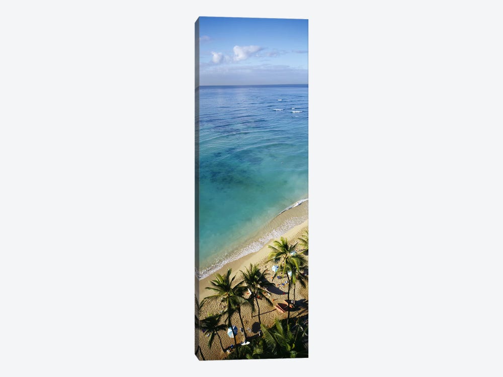 High angle view of palm trees with beach umbrellas on the beach, Waikiki Beach, Honolulu, Oahu, Hawaii, USA by Panoramic Images 1-piece Canvas Wall Art