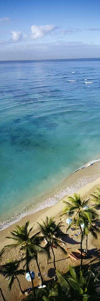 High angle view of palm trees with beach umbrellas on the beach, Waikiki Beach, Honolulu, Oahu, Hawaii, USA