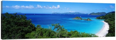 Trunk Bay Virgin Islands National Park St. John US Virgin Islands Canvas Art Print - Tropical Beach Art