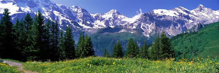 Murren Switzerland