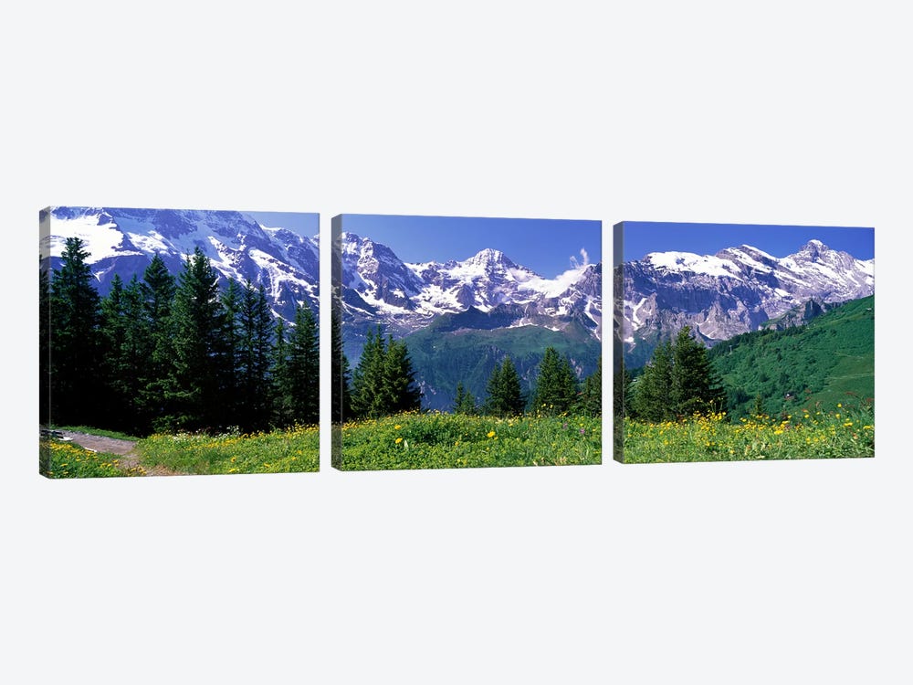 Murren Switzerland by Panoramic Images 3-piece Canvas Art Print