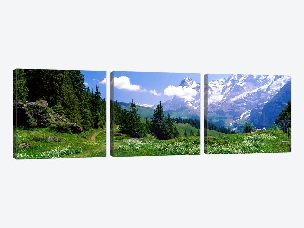 Alpine Scene Near Murren Switzerland by Panoramic Images 3-piece Canvas Artwork