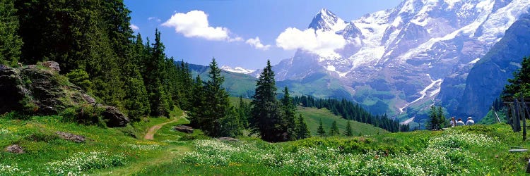 Alpine Scene Near Murren Switzerland