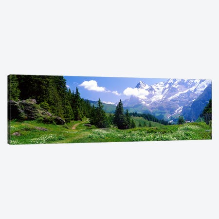 Alpine Scene Near Murren Switzerland Canvas Print #PIM3881} by Panoramic Images Canvas Artwork