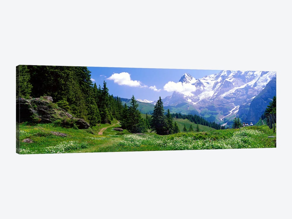 Alpine Scene Near Murren Switzerland by Panoramic Images 1-piece Canvas Art