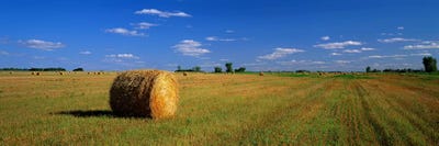 Bales Of Hay, South Dakota, USA by Panoramic Images canvas print