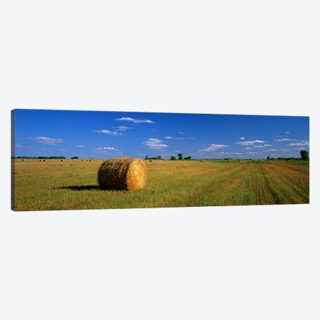Bales Of Hay, South Dakota, USA Canvas Print #PIM3890} by Panoramic Images Canvas Art Print