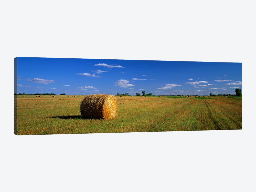 Bales Of Hay, South Dakota, USA by Panoramic Images 1-piece Canvas Art