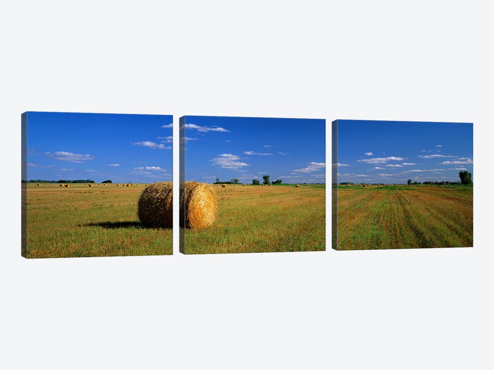 Bales Of Hay, South Dakota, USA by Panoramic Images 3-piece Canvas Artwork
