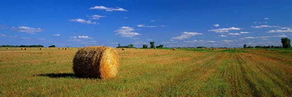 Bales Of Hay, South Dakota, USA
